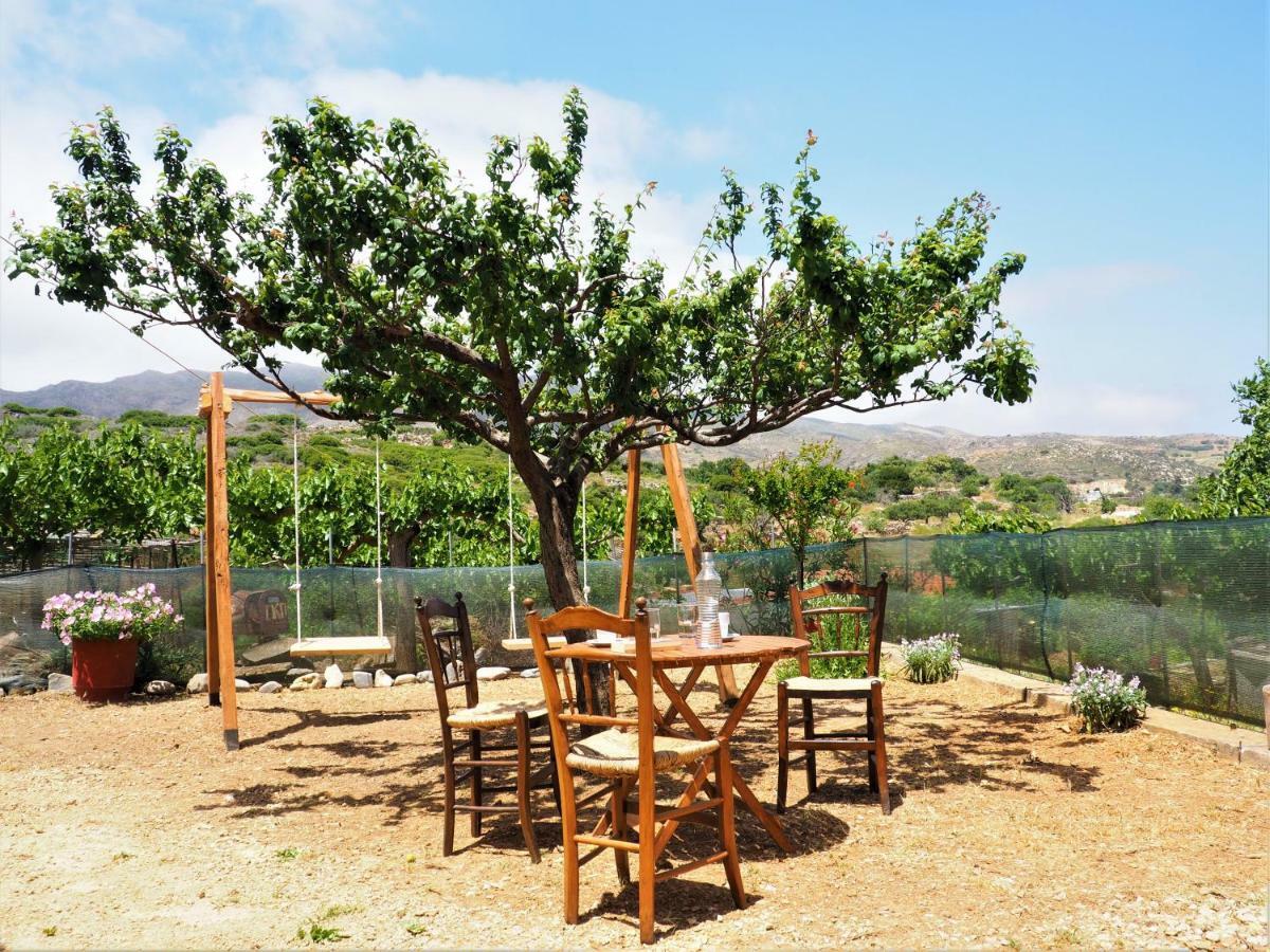 Traditional Cretan Villa Rodhopos Exterior foto